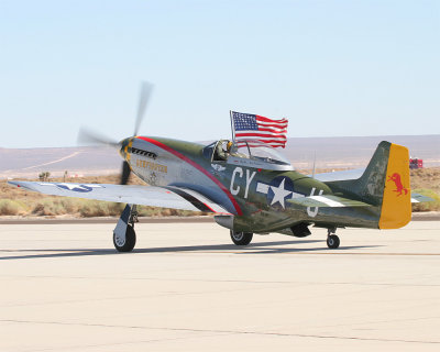 Mustang_01.jpg