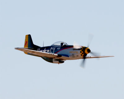 Mustang_02.jpg