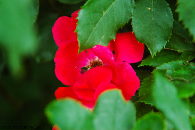 April 14 2012 085.jpg