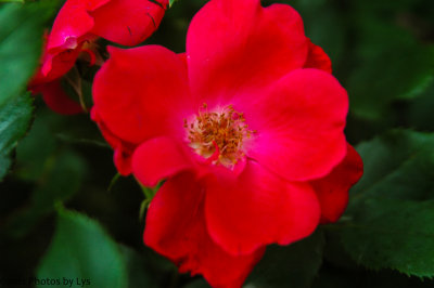 April 14 2012 086.jpg