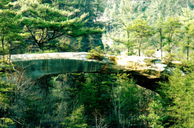 SKY BRIDGE FROM AFAR