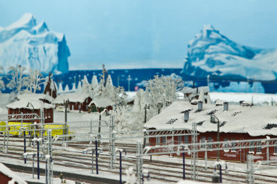 _MG_5681.jpg