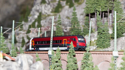 _MG_5815.jpg