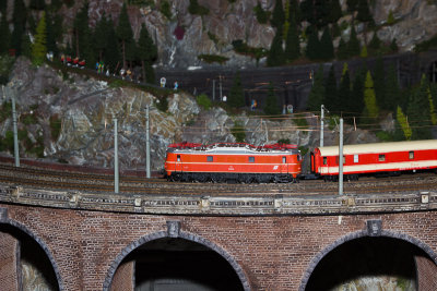 _MG_5835.jpg