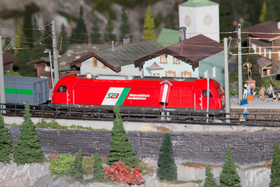 _MG_5846.jpg