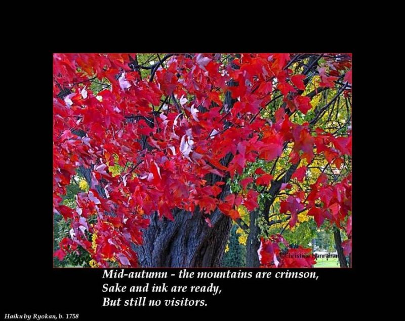 Haiku # 22: Mid-autumn