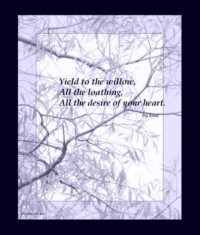 Haiku # 26: Yield to the willow