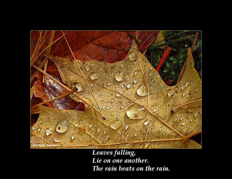 Haiku # 29: Leaves falling