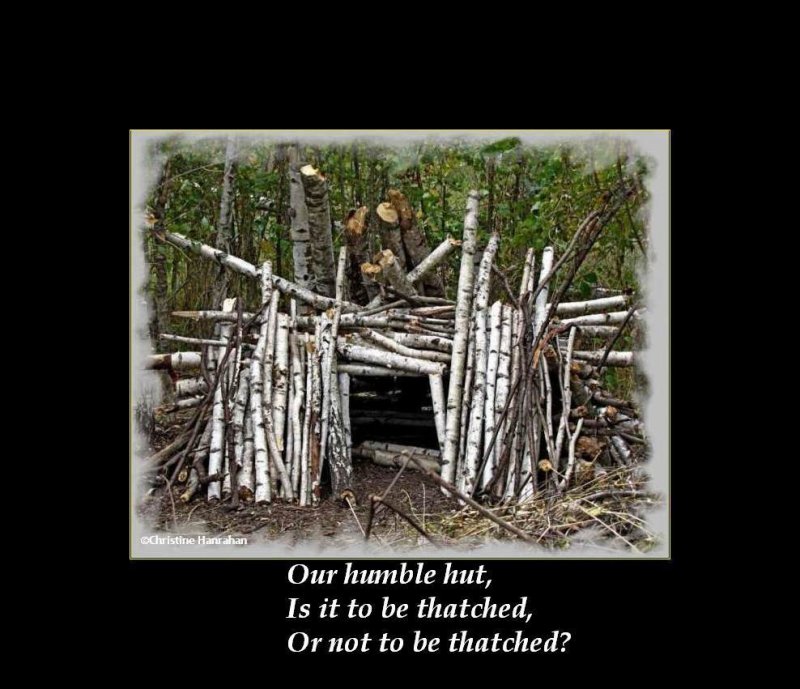 Haiku # 30: Our humble hut