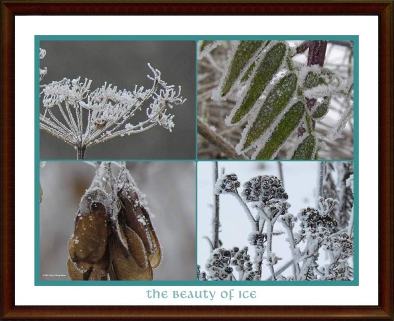 The Ephemera of Frost and Ice
