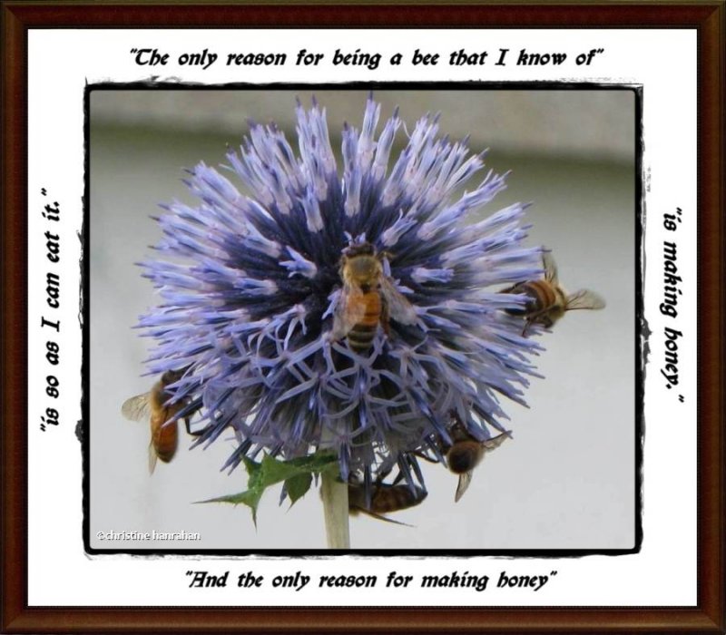 The reason for bees