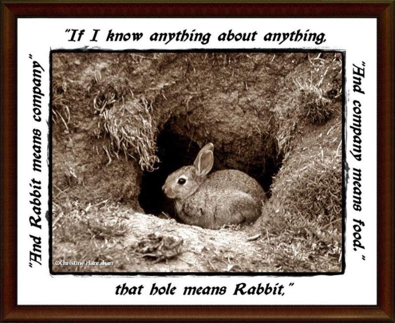 That hole means Rabbit...