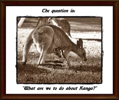 Kanga