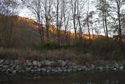 Sun on the Hills