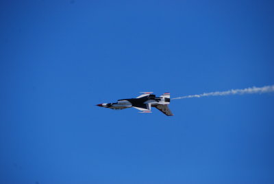 ALF_2012_1103_150240AB.JPG