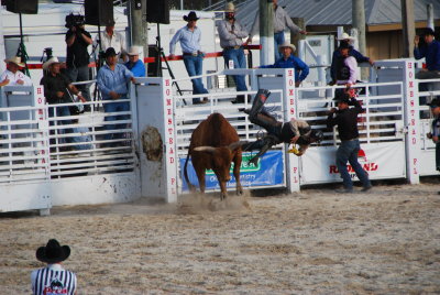 2013 Homestead Rodeo