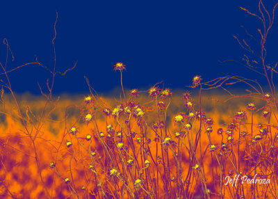 Photo Magic with software