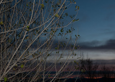 Before Sunrise at Folsom Lake, Ca