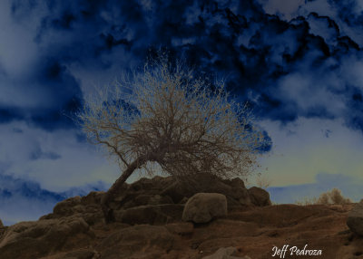 Folsom Lake, Ca Magic
