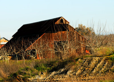 Barn
