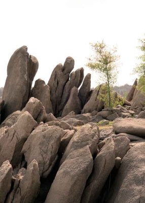 Rock Outcropping