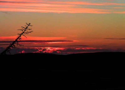 Sun setting on ocean behind sand dunes