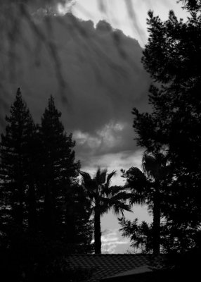 Evening Skies