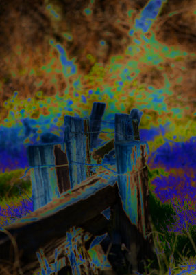 Colorful Wood Fence