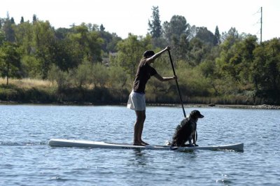 Paddle Boarding With Dog