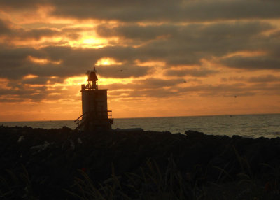  Bell Tower On Jetty, Oregon