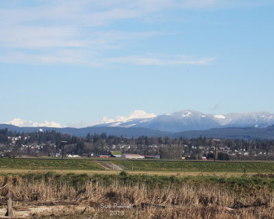 2-19-13 Stanwood e 7737.JPG