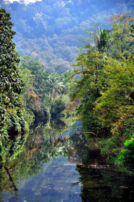 Kerala Inside River