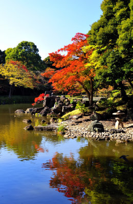 Fall on Japanese Pond