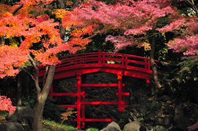 Red Bridge, Red Trees...