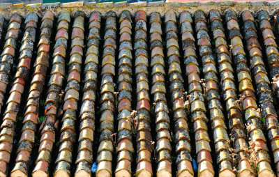 Traditional Tile Roof