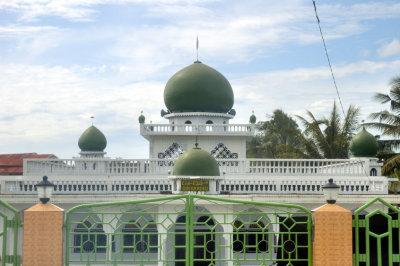 The Green Mosque