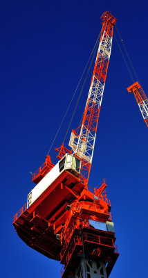 Crane at Sunset