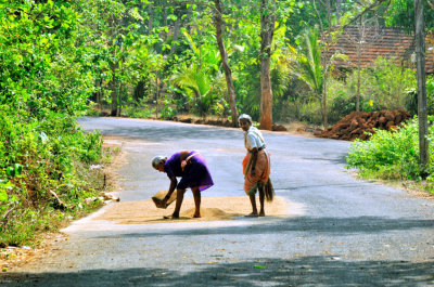 Road as Their Own Backyard