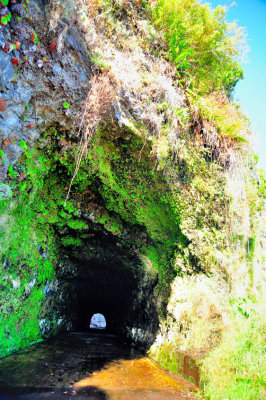 Tunnel on the Old Road