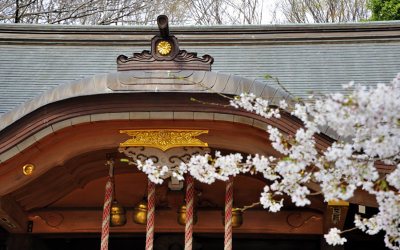 Temple of My Wifes Faith, with Sakura