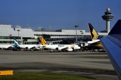 Singapore Airport and Tiger Airways