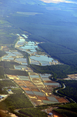 Rice Fields of Malaysia