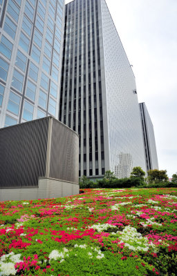 The Flowers and the Concrete Monsters