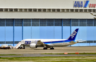 Boeing B-787 Being Repaired