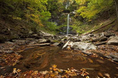 Swirling Leaves at Plattekill Falls
