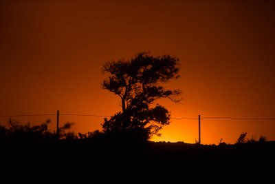 DSC_4340_sm.jpg