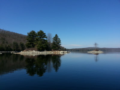 Quabbin Eagle Count April 5 2013 DHSmall 5.jpg