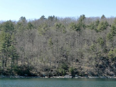 Quabbin Eagle Count April 5 2013 DHSmall 32.JPG