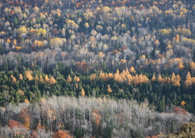 brockwaymountain7449.JPG