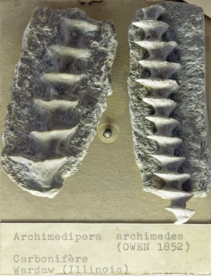 g2/51/607851/3/65736794.WoUAPQi7.jpg